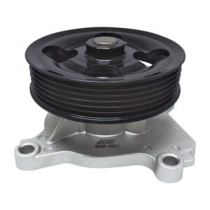 Bomba de Agua RENAULT KOLEOS L4 2.5L 2016-2021