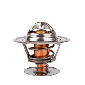 Termostato Volvo XC90 L5 2.5L 2003-2006