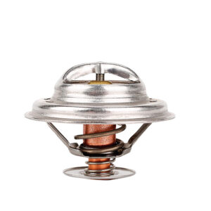 Termostato BMW 320i L4 2.0L 1994-1995