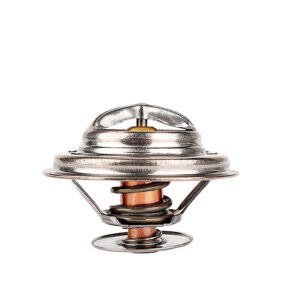 Termostato Volkswagen Passat V6 2.8L 1998-2004