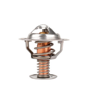 Termostato Mercury Marauder V8 4.6L 2003-2004