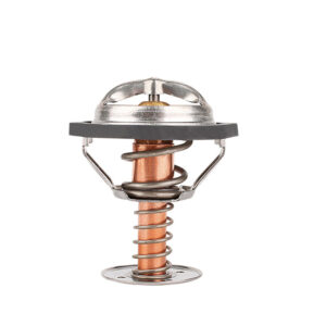 Termostato Oldsmobile Aurora V8 4.0L 2001-2003