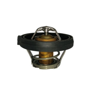 Termostato Mini Cooper L4 1.6L 2002-2008