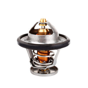 Termostato Nissan Sentra L4 1.8L 2000-2006