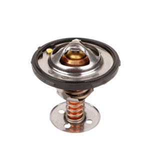 Termostato Chevrolet Express 2500 V8 4.8L 2003-2004