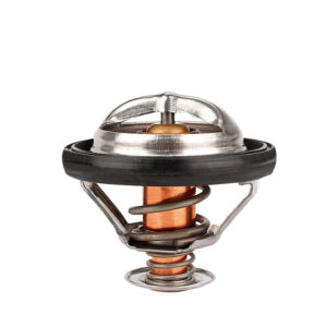 Termostato Volvo C30 L5 2.5L 2008-2012