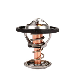 Termostato Buick Rainier V8 5.3L 2007
